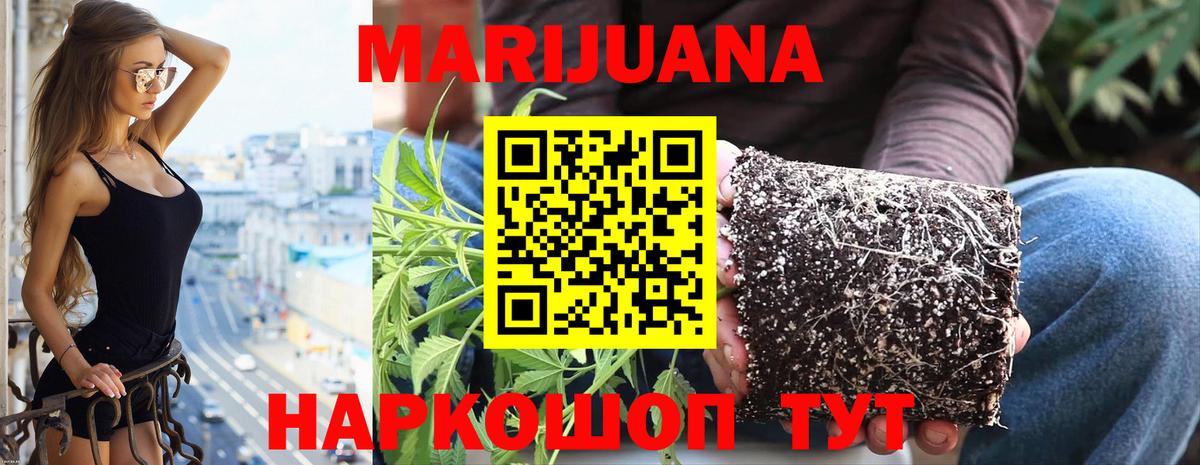Конопля планчик  Вход с VPN  Бошки марихуана индика  МАРИХУАНА план  Усолье-Сибирское  Марихуана семена 